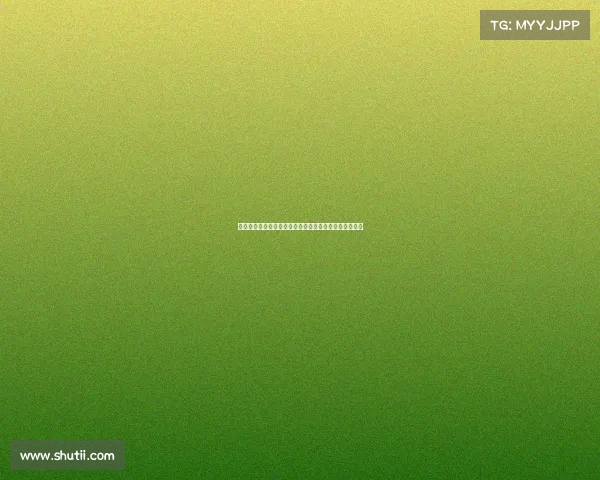 赛场之外的较量：伯恩利与拉齐奥的文化与竞技碰撞分析